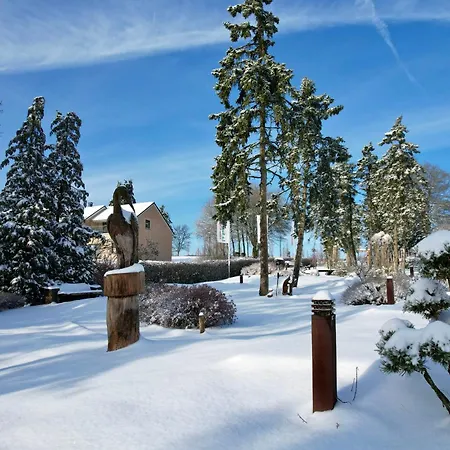 Holiday home La Sapiniere Hosingen