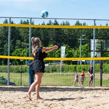 La Sapiniere 펜션 *